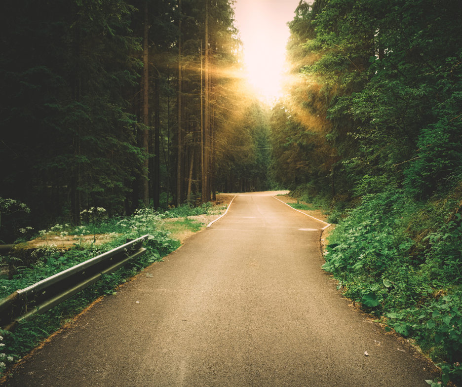 A rural road which represents alcohol intolerance