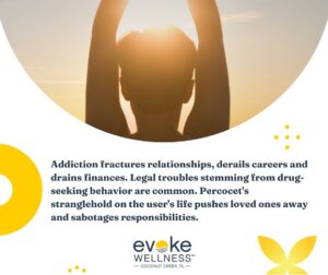 percocet addiction infographic