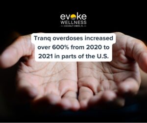 overcoming tranq dependency infographic